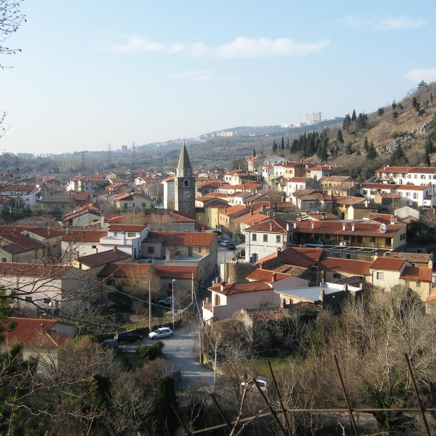 Camere B81 di Strain Neva San Dorligo della Valle Esterno foto